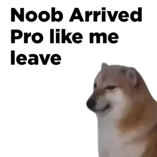 👍 Doge Noob Arrived
Pro like me
leave cane, meme, cheems, divertente, pro, principiante telegram sticker