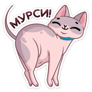 ☺️ Мурси! cat, sphynx, sticker, animal, cute, happy telegram sticker
