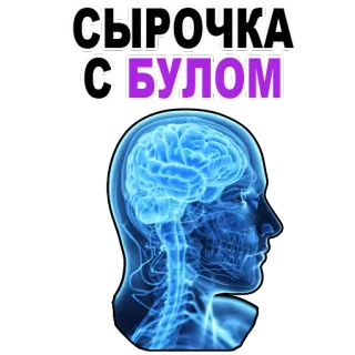 😱 СЫРОЧКА СИБОЛОМ brain, head, medical, anatomy telegram sticker