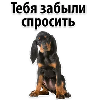😔 Тебя забыли спросить dog, puppy, cute, russian, funny, meme telegram sticker
