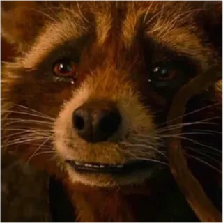 🥺 Rocket Raccoon Guardians of the Galaxy Waschbär, traurig, weinend, Marvel, Guardians of the Galaxy, emotional telegram sticker