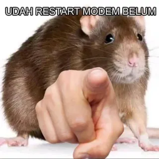 👆 UDAH RESTART MODEM BELUM 老鼠, 指, 互联网, 调制解调器 whatsapp sticker