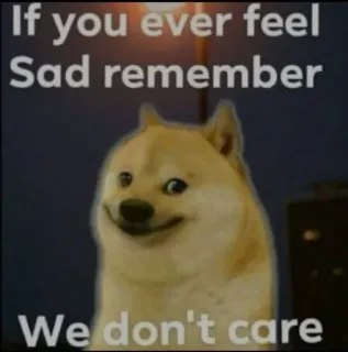 🥲 Doge If you ever feel Sad remember We don't care dog, meme, funny, sad, care, animal telegram sticker