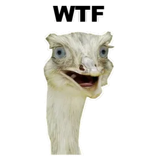 😮 WTF oiseau, émeu, wtf, drôle, mème, autruche whatsapp sticker