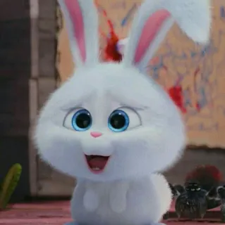 snowball rabbit whatsapp stickers