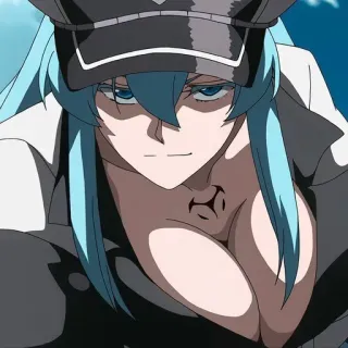 😏 Esdeath Akame ga Kill! Anime, Esdeath, Akame ga Kill, Kobieta, Złoczyńca, Niebieskie Włosy telegram sticker