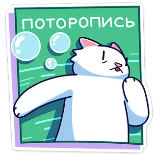 🏃 ПОТОРОПИСЬ gato, sticker, ruso, prisa, burbujas, gato de dibujos animados, gato blanco whatsapp sticker