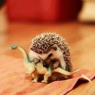 🦔 riccio, animale, dinosauro, giocattolo, carino whatsapp sticker