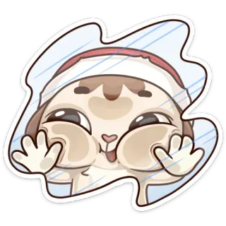 😮 Katze, Sticker, süß, lustig, Cartoon telegram sticker
