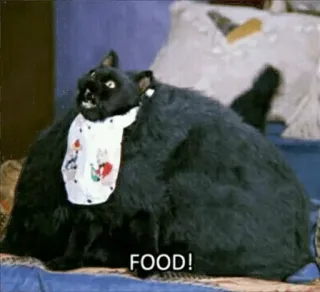 😭 Salem Saberhagen Sabrina the Teenage Witch FOOD! whatsapp sticker