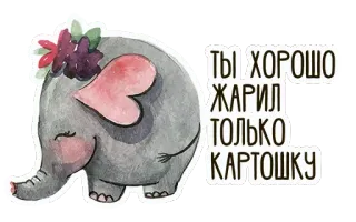 ❤ ТЫ ХОРОШО ЖАРИЛ ТОЛЬКО КАРТОШКУ éléphant, fleur, mignon, aquarelle, animal, salutation whatsapp sticker