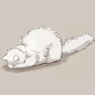 🐈 Katze, Tier, Haustier, weiße Katze, schlafend, süß telegram sticker