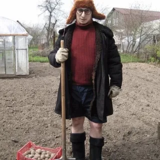 😁 jardinagem, agricultor, batata, inverno, rural, engraçado telegram sticker