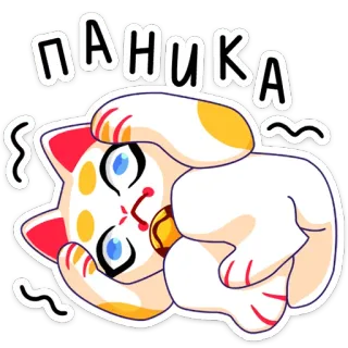 😣 ПАНИКА cat, panic, scared, stressed, upset, kitten whatsapp sticker