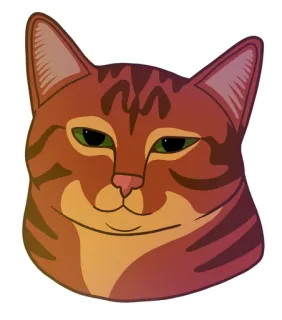 🙂 кот, мем, животное, самодовольный, кошачий telegram sticker