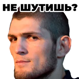 😏 Khabib Nurmagomedov НЕ ШУТИШЬ? khabib, nurmagomedov, mma, fighter, russian, ufc telegram sticker