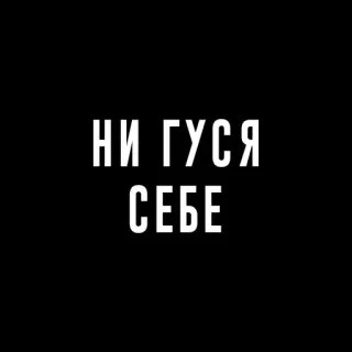 😳 НИ ГУСЯ СЕБЕ 텍스트, 러시아어, 검은색, 흰색 telegram sticker