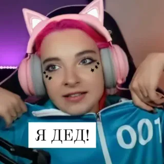 👨‍🦳 Я ДЕД! woman, pink hair, headset, cat ears telegram sticker