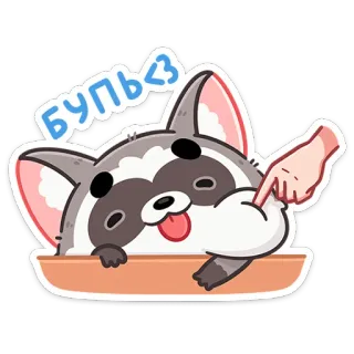 😝 БУЛЬ<3 szop, słodki, zwierzę, naklejka, kreskówka whatsapp sticker
