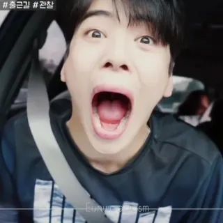 〽 출근길 #관찰 cara, kpop, coche, meme, gracioso, grito telegram sticker