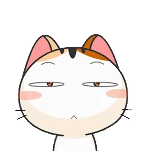 ⭐ gato, emoji, desenho animado, fofo, animal whatsapp sticker