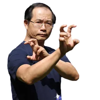 👈 martial arts, man, pose, asian, self-defense, kung fu, action whatsapp sticker