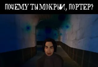 💦 Harry Potter ПОЧЕМУ ТЫ МОКРЫЙ, ПОРТЕР? harry potter, слизерин, russian meme telegram sticker