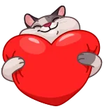 ❤️ 고양이, 하트, 사랑, 발렌타인 데이, 귀여운 telegram sticker