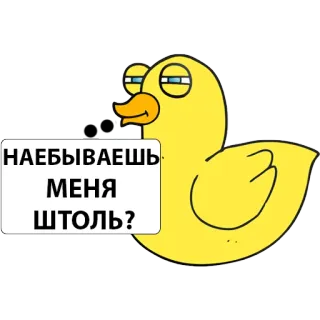 😖 НАЕБЫВАЕШЬ МЕНЯ ШТОЛЬ? Ente, Cartoon, Russisch, Frage, genervt whatsapp sticker