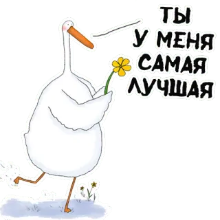 😻 ТЫ У МЕНЯ САМАЯ ЛУЧШАЯ 거위, 꽃, 귀여운, 동물, 새 telegram sticker
