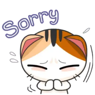🥺 Sorry 猫, ごめん, かわいい, 謝罪, 謝る telegram sticker