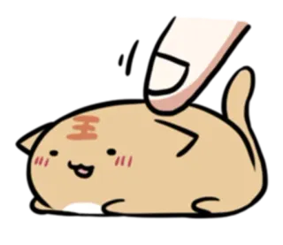 ☺️ chat, animal de compagnie, mignon, animal, autocollant, kawaii whatsapp sticker