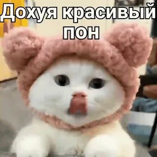 🦁 Дохуя красивый
ПОН gato, animal, fofo, meme telegram sticker