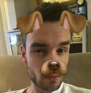 ✨ dog filter, snapchat filter, selfie, dog ears, digital sticker, augmented reality telegram sticker