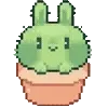 🌵