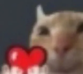 ❤️ Ollie the Cat telegram sticker
