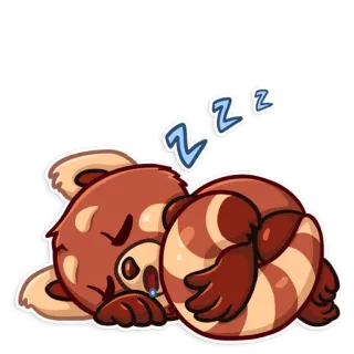 😴 panda rojo, durmiendo, animal, lindo, zzz, cansado whatsapp sticker