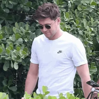 ✨ Niall Horan นักร้อง, คนดัง, เพลง, ป๊อป, One Direction telegram sticker