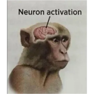 🧠 Neuron activation małpa, neuron, aktywacja, mózg, zwierzę telegram sticker