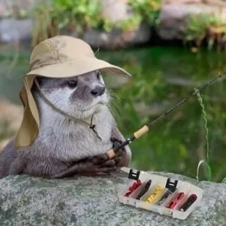 🦦 Nutria, Pesca, Animal, Sombrero, Vida Silvestre, Río, Naturaleza telegram sticker