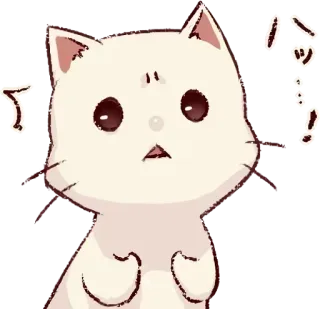 💗 パッ cat, cute, animal, sticker, anime telegram sticker