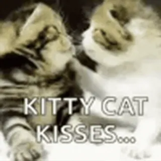 💋