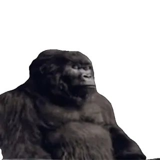 🦍 gorilla, ape, animal, wildlife, mammal whatsapp sticker