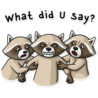 👊 what did U say? szop pracz, zwierzę, pytanie, zabawne telegram sticker