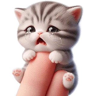😭 kot, kociak, słodki, płaczący, smutny, zwierzę, palec, kreskówka telegram sticker