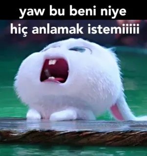 🤦‍♀ yaw bu beni niye hiç anlamak istemiiii 토끼, 소리 지르는, 밈, 동물, 귀여운, 웃긴 whatsapp sticker