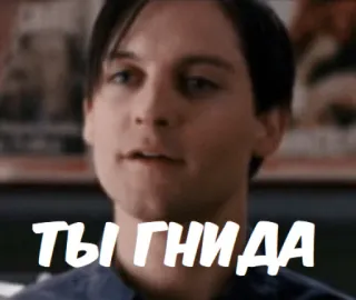 😒 Peter Parker Spider-Man ТЫ ГНИДА spider-man, tobey maguire, peter parker, insult telegram sticker