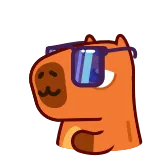 😎 카피바라, 동물, 안경, 멋진, 만화 telegram sticker