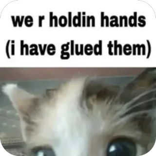 ❤ we r holdin hands
(i have glued them) 猫, 手がくっつく, ミーム, 面白い, 手をつなぐ, ユーモア, 動物 telegram sticker