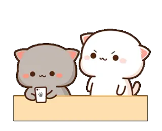 🤨 Katzen, süß, Tiere, schauen, Handy telegram sticker